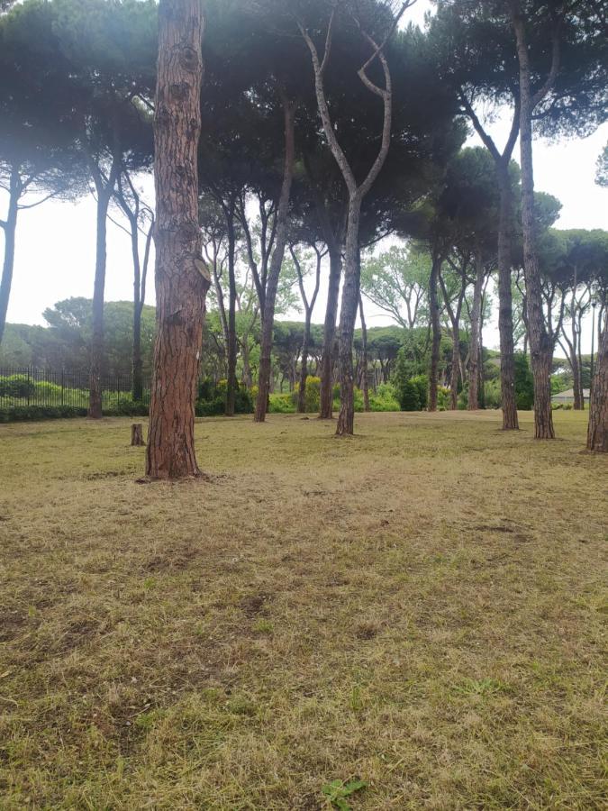 Attico Con Terrazza In Via Dei Traghetti Daire Lido di Ostia Dış mekan fotoğraf